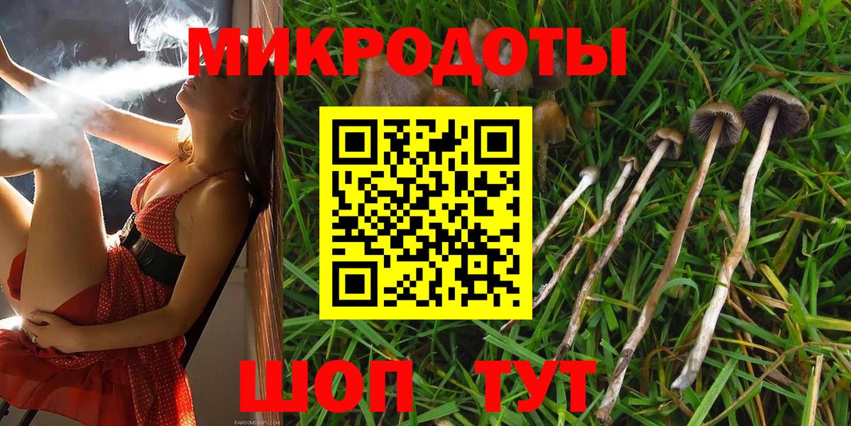 Псилоцибиновые грибы ЛСД  Вход с VPN  что такое наркотик  Псилоцибиновые грибы ЛСД  Керчь 