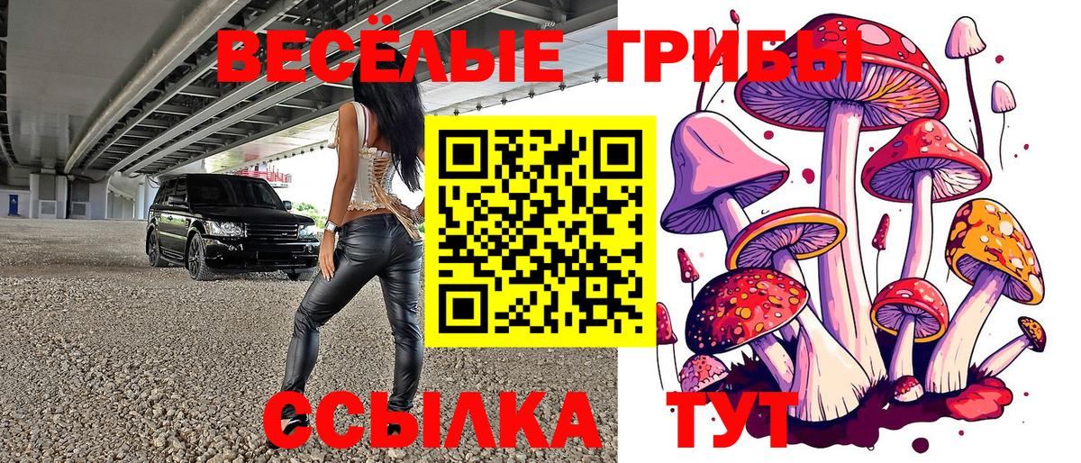 Галлюциногенные грибы MAGIC MUSHROOMS Керчь
